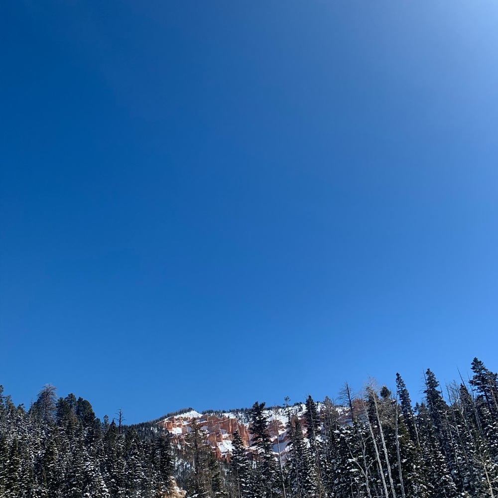 Meet your Posher, Eva